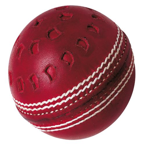 GM Chevron Swing Cricket Ball