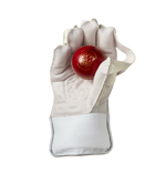 Load image into Gallery viewer, GM 606 Wicket Keeping Gloves
