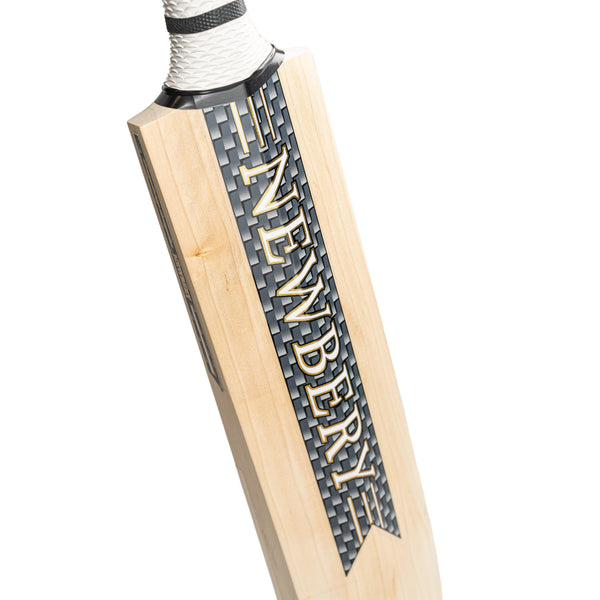 Newbery Grizzly Bat