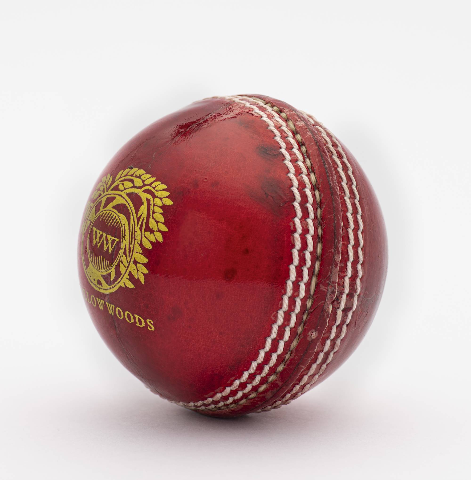 Willow Woods Cricket Ball Match