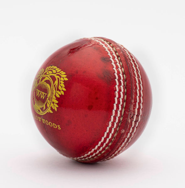 Willow Woods Cricket Ball Match