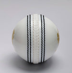 Load image into Gallery viewer, Willow Woods Cricket Spin Ball
