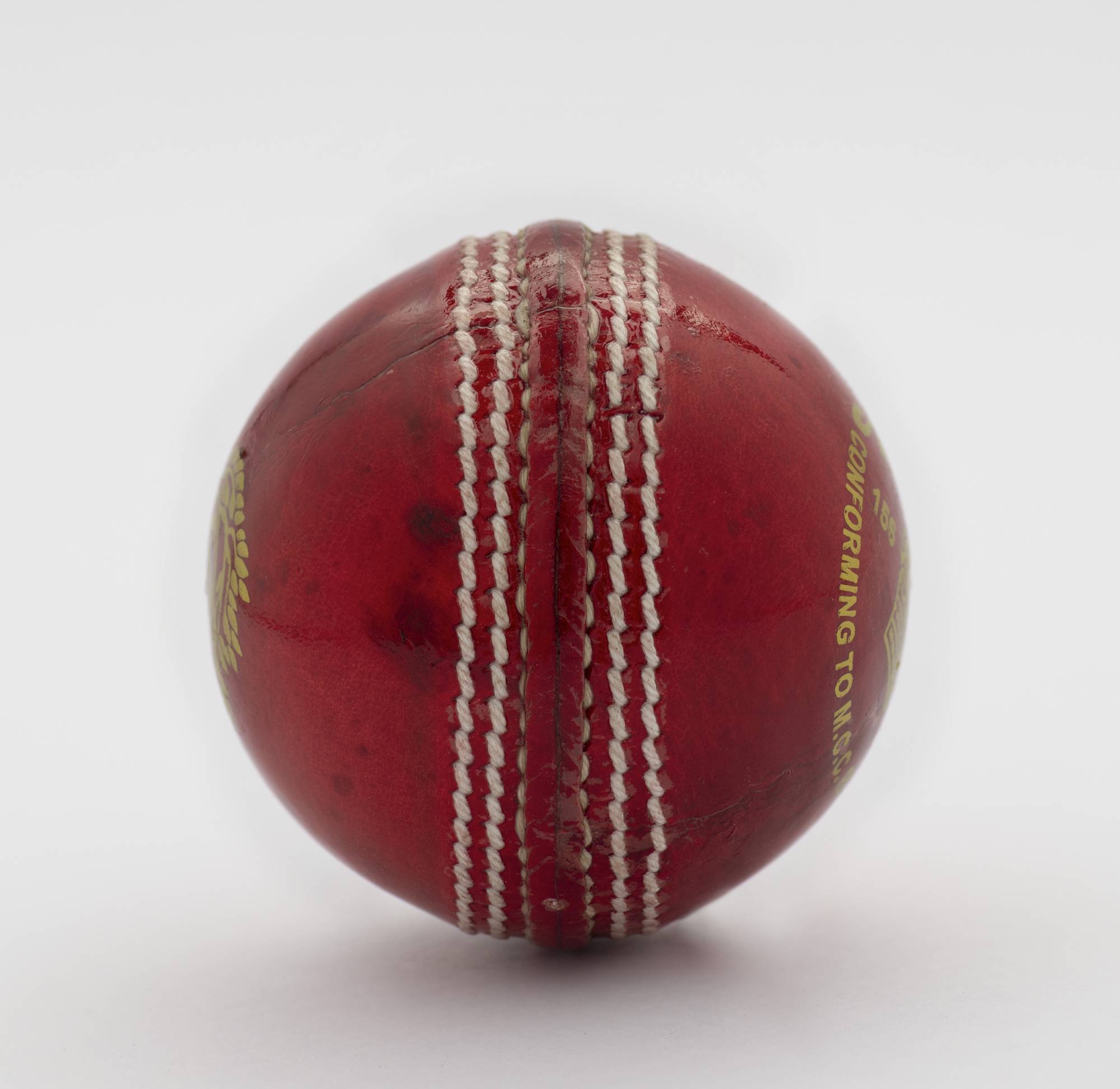 Willow Woods Cricket Ball Match