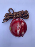 Load image into Gallery viewer, Willow Woods Cricket Batting Practice Hanging Ball with String
