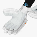 Load image into Gallery viewer, DSC Krunch DW Signature batting Gloves
