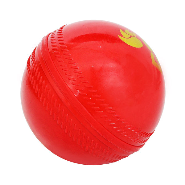 DSC Practice Balls